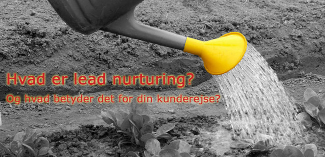 Hvad er lead nurturing?
